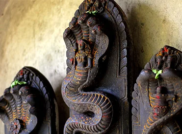 Kala Sarp Dosha Nivarana Pooja